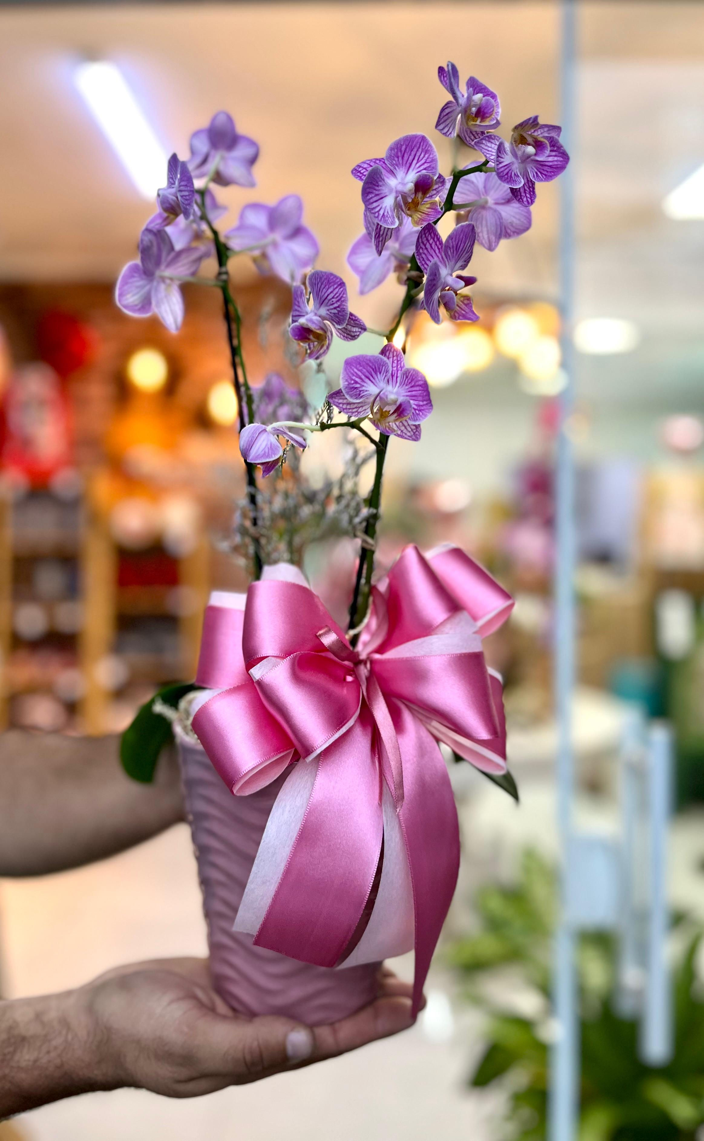 Mini Orquídea Rosa (Vaso de Cerâmica)