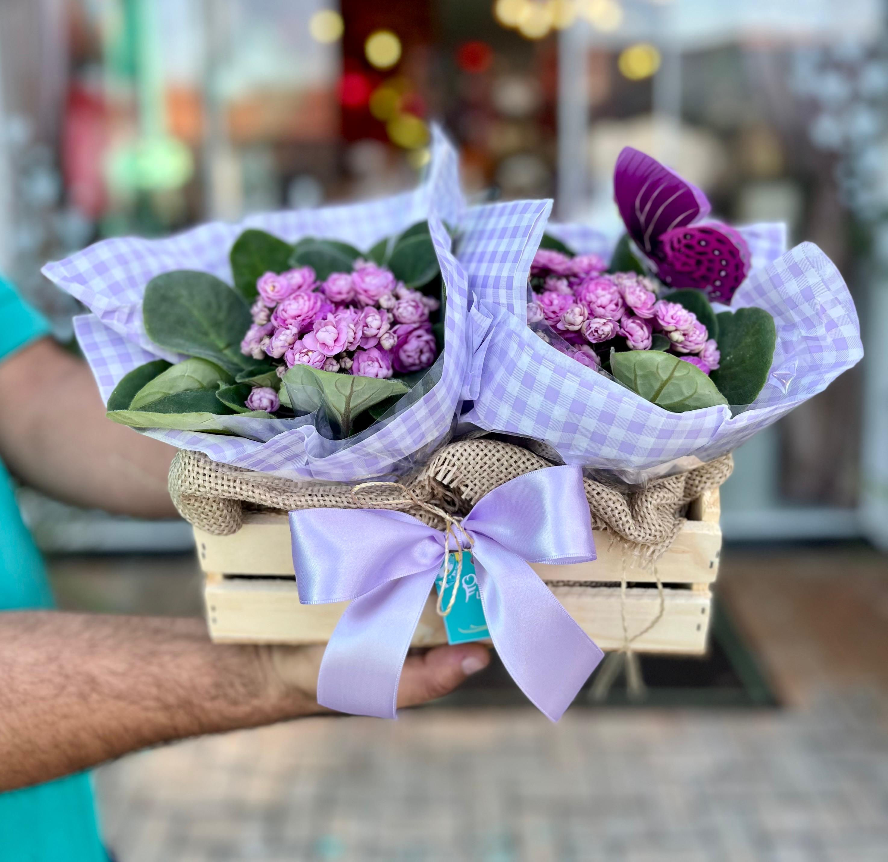 Floreira de Violetas