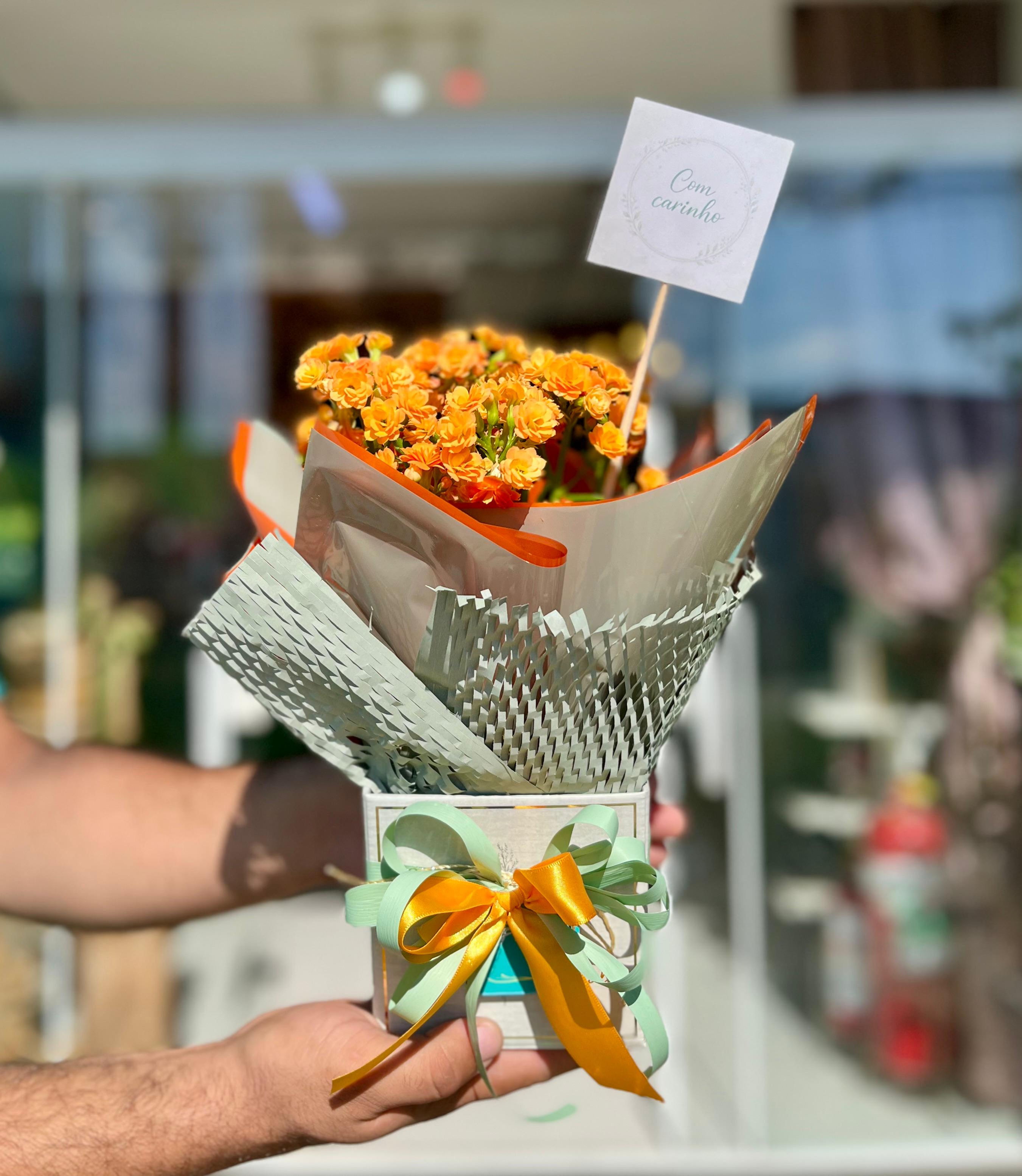 Calandiva Laranja