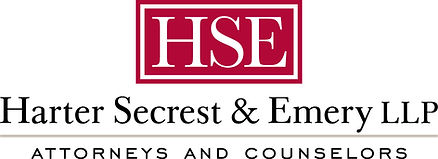 HSE Logo _edited.jpg