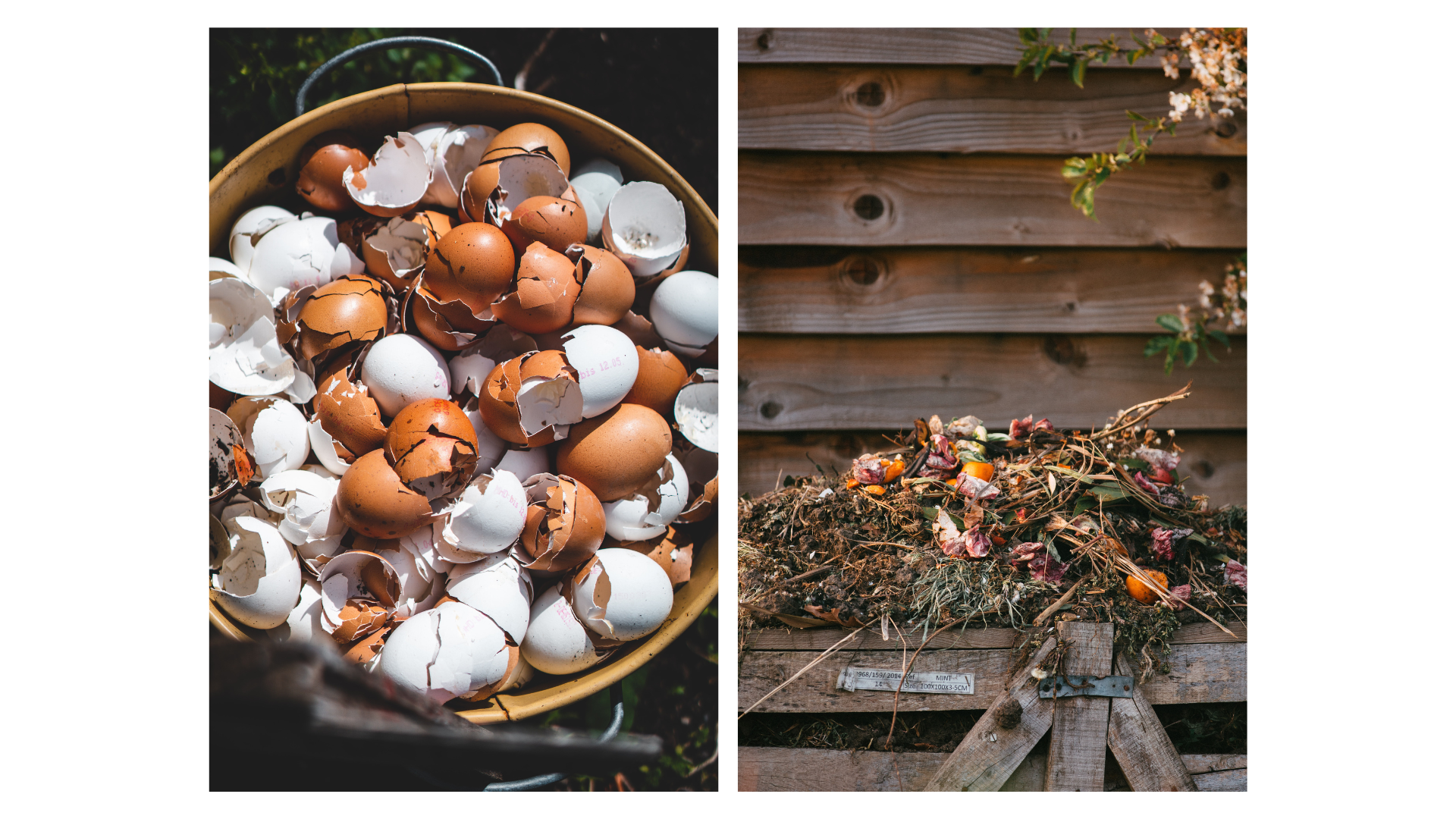 food composting at home