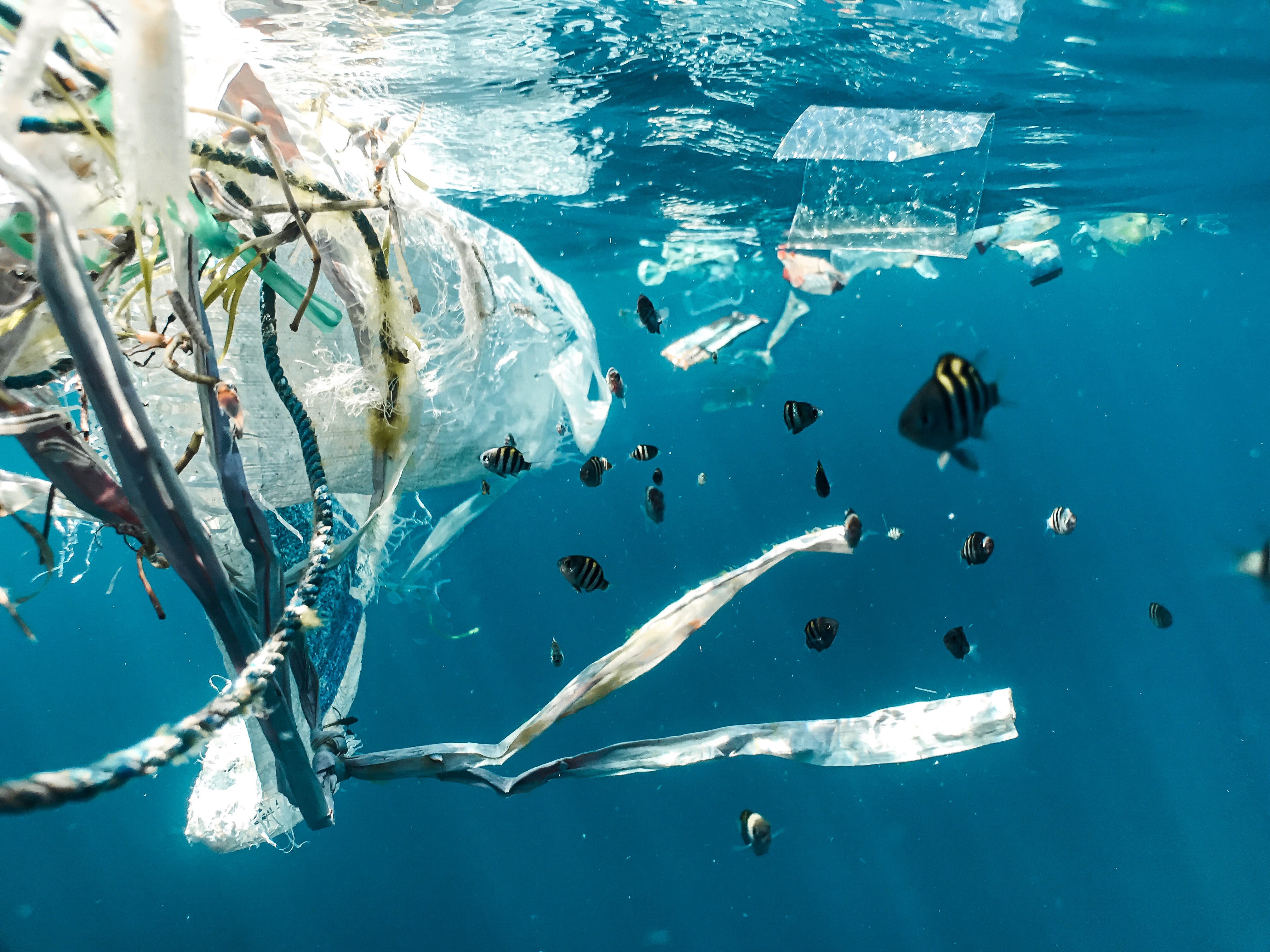 Plastic In The Ocean