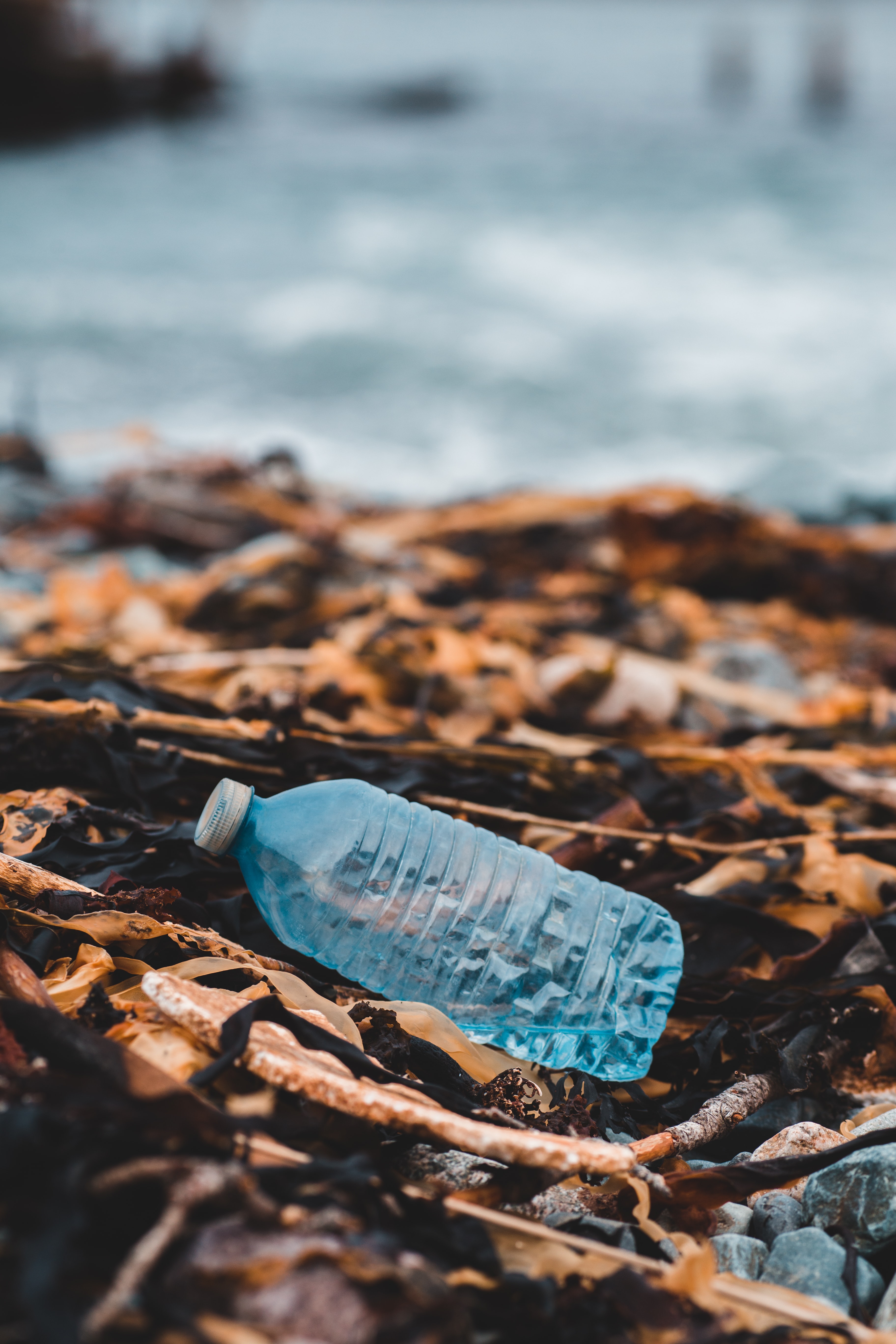 Plastic Waste in Beach