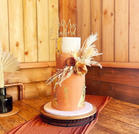 Polly Webb Cakes. Occasion Cakes Made-to Order In Helston Cornwall.