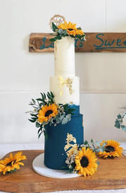 Polly Webb Cakes. Occasion Cakes Made-to Order In Helston Cornwall.
