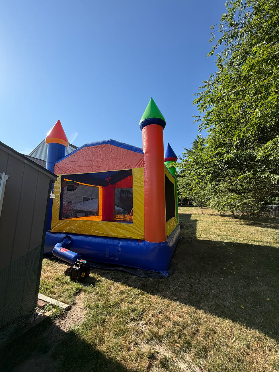 Thumbnail: 14x14 Rainbow Castle Bounce House