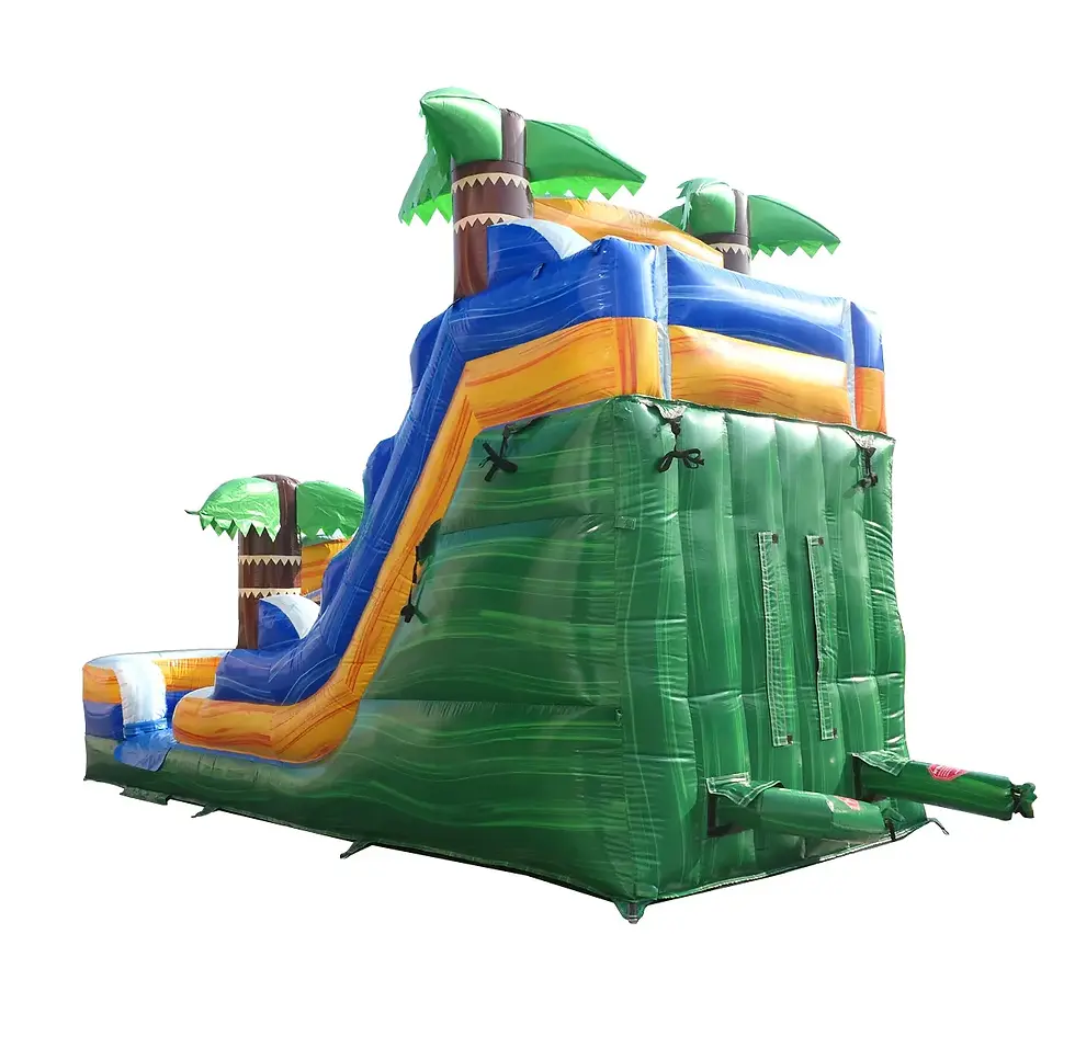 Thumbnail: Tropical Green Inflatable Slide