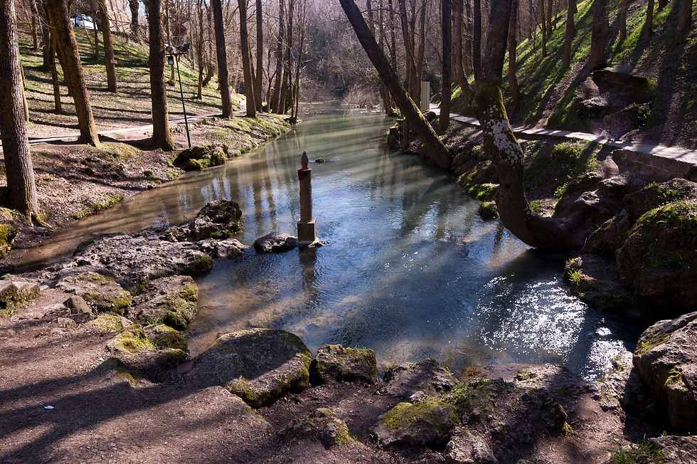 Nacimiento del Ebro. Fontibre.