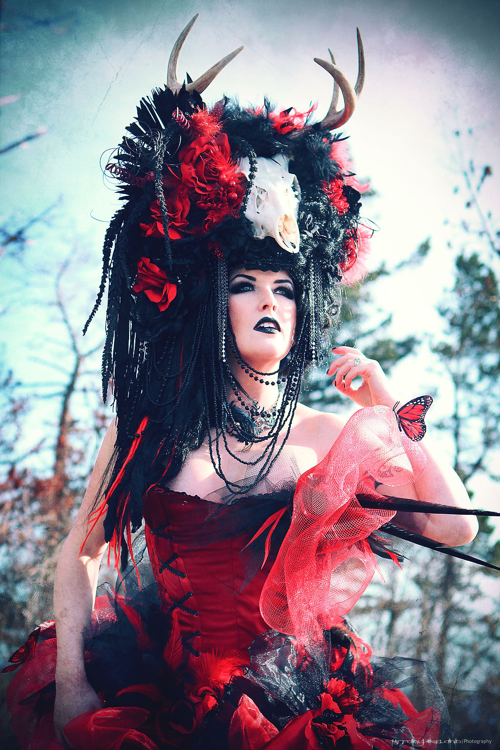 Red Queen