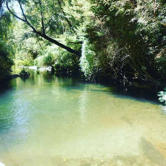 estero lipingue