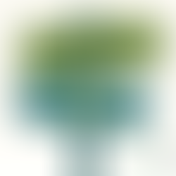 Proberen is zin-loos