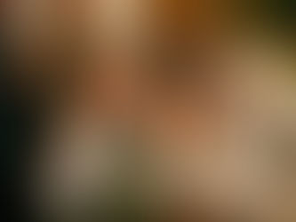 Why I Don't Think Speeches Between Courses is The Best Idea...