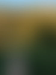 Lung Surgery & Clear Trails