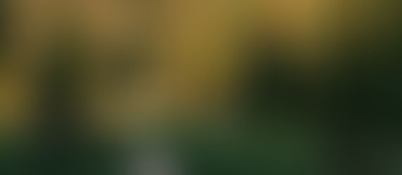 Lung Surgery & Clear Trails