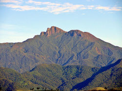 4464180676_7d192bb80b_b1