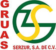 LOGO SERZUR.jpg