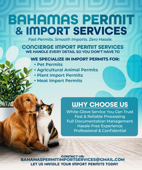 BAHAMAS PERMIT & IMPORT SERVICES