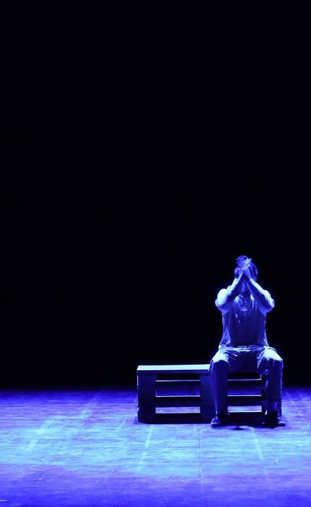 Spectacle "HUMAINS" CIE 3