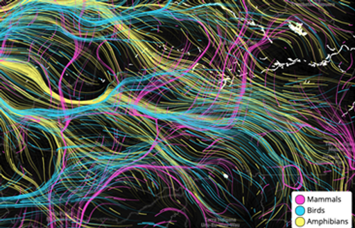 Movement26.png