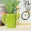 Thumbnail: Ceramic Pen Holder - Desk Friends - Cactus