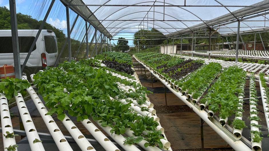 Savoring Puerto Rico: A Culinary Travel Adventure You Won't Forget