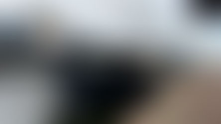 Bike and Boat in Europe!