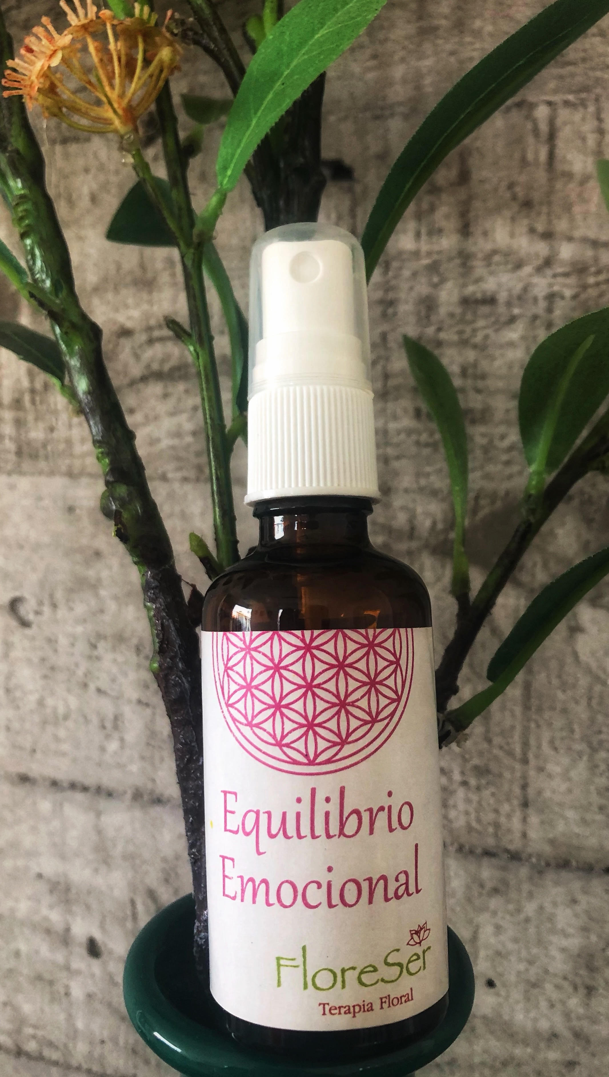 Equilibrio emocional