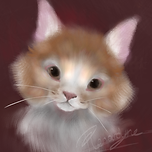 sparkle.png