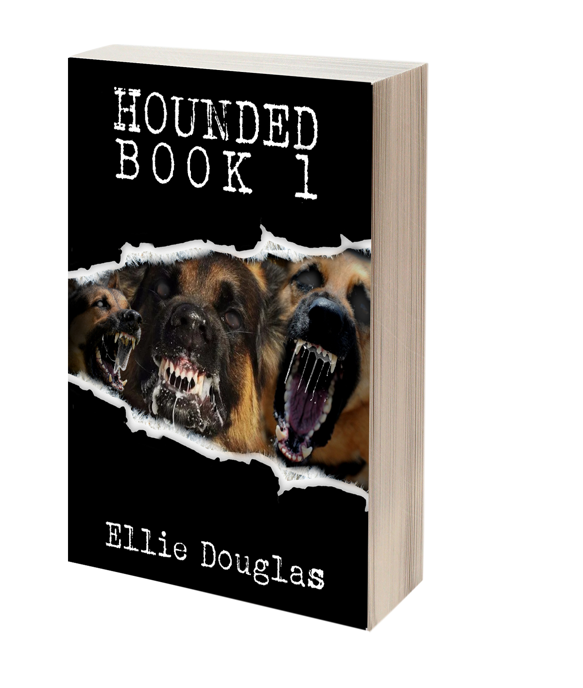 hounded book series hounded book series