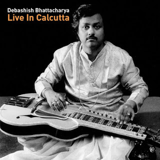 iheartguitarblog interview with Debashish