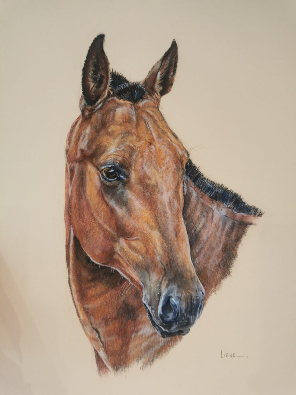 IMG_20240801_094048_resized_20240820_015625536