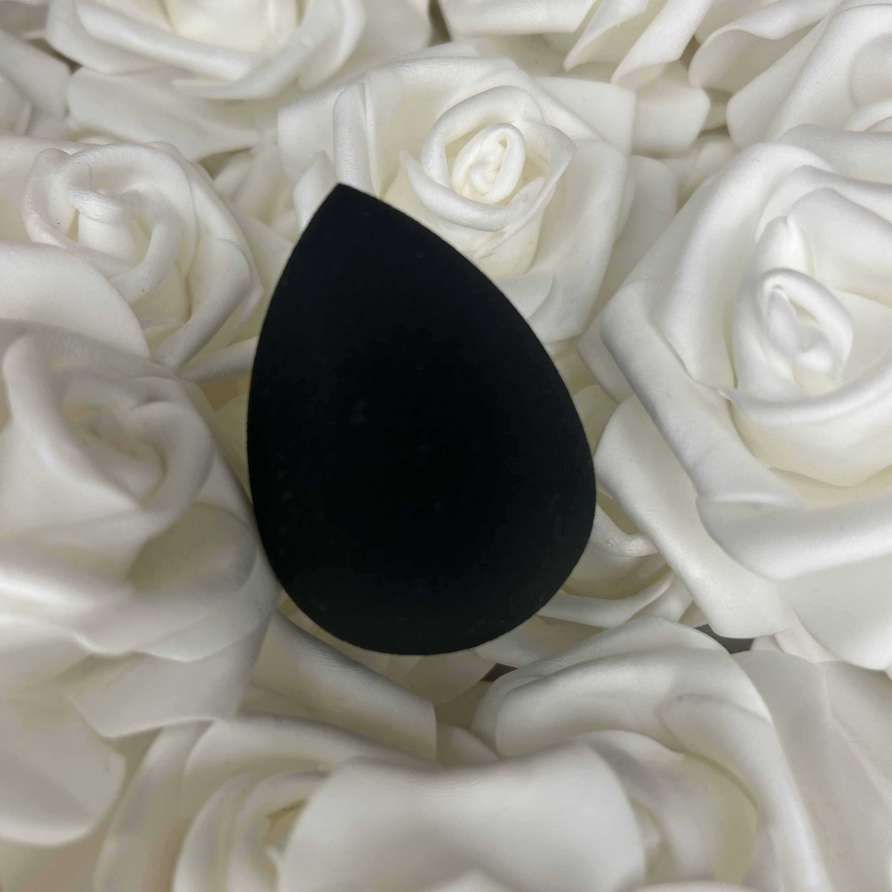 Beauty Blender Applicator