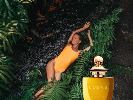 Coco de mer from the jungle