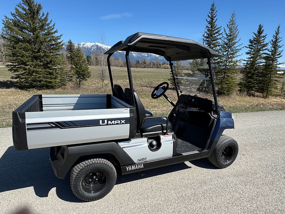 Thumbnail: Sold!! 2025 Yamaha Umax 2