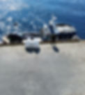 Brygge Polarfeed 6_edited.jpg