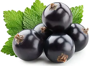 Black-Currant-Juice-Powder-Organic-Fruit-Powders-Z-Natural-Foods-3_900x.webp