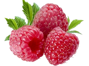 item-raspberries.png