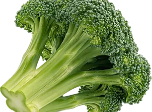 broccoli-isolated-on-white-background-full-depth-of-field-png.webp