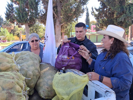 ENTREGA NORMA PAVIA 30 TONELADAS DE PAPA EN SAN FRANCISCO DE CONCHOS.