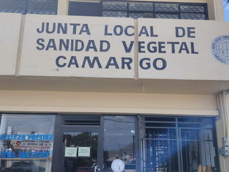 CON LA LLEGADA DE LAS LLUVIAS, AUMENTA LA PRESENCIA DE PLAGAS EN CULTIVOS, SANIDAD VEGETAL.