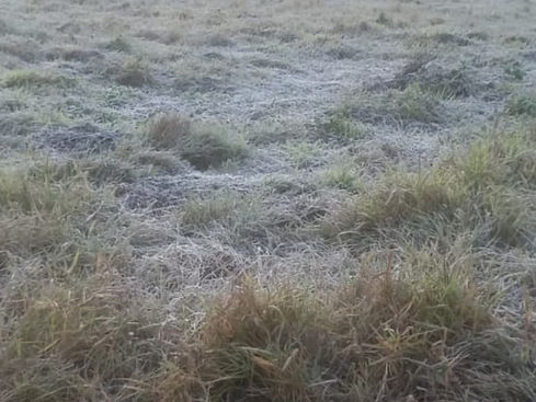 MAIS DE 400 CIDADES MINEIRAS RECEBEM ALERTA DE FRIO INTENSO A PARTIR DE HOJE