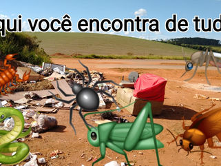 Moradores reclama de lixão na Rodovia do contorno..