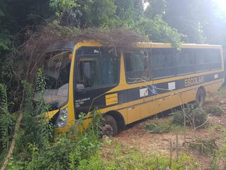 ÔNIBUS ESCOLAR PERDE FREIO E BATE EM ÁRVORE.