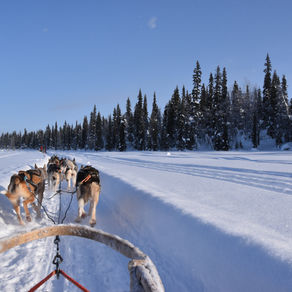 Quelles activités faire en Laponie ?