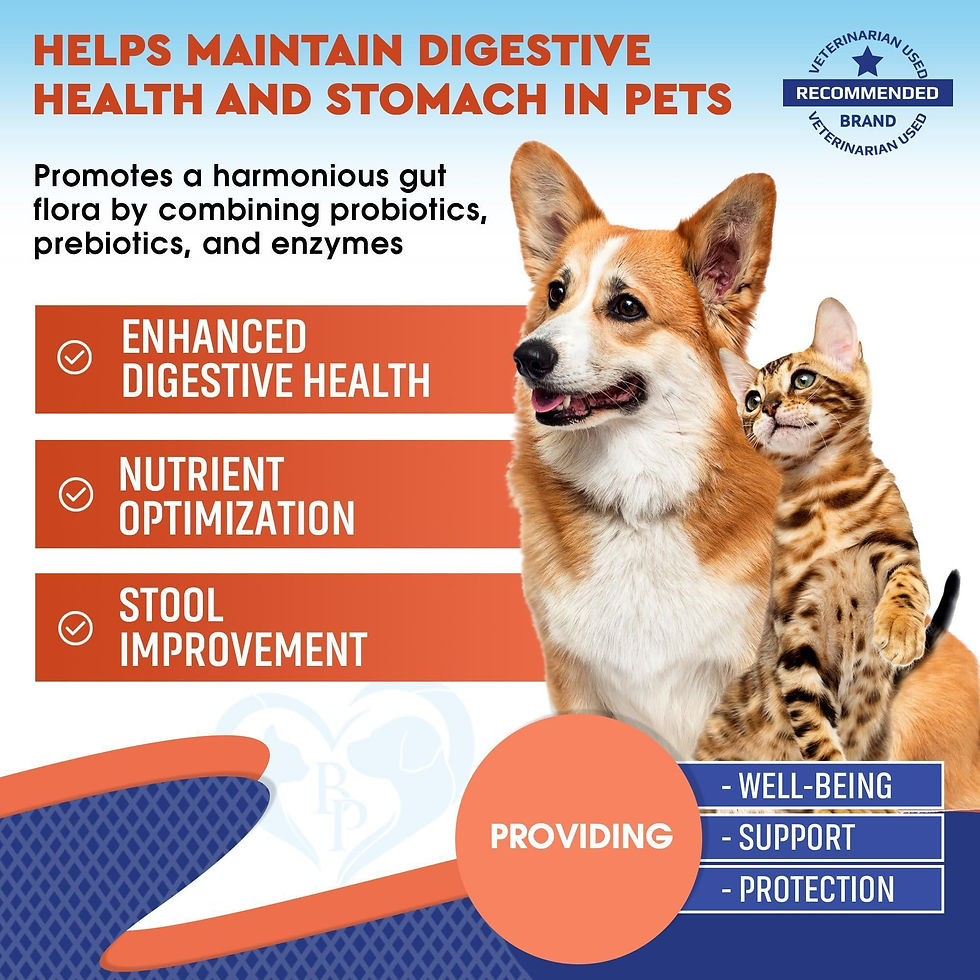 Thumbnail: Probiotics Prebiotics with Enzymes for Dogs and Cats Digestive Gut Flora Health
