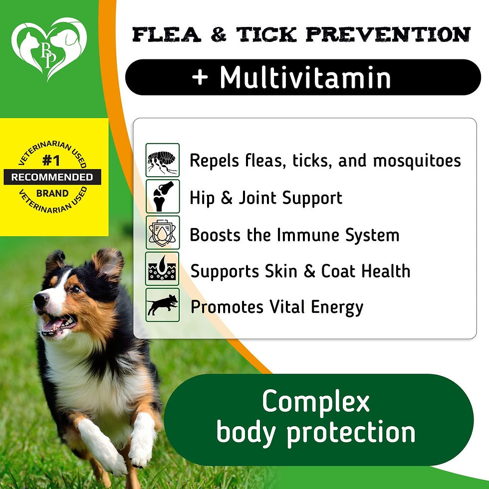 Thumbnail: Insects Prevention Chewable Pills for Dogs Natural Pest Control for Pets Dogs