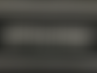                                SPACEAGE ANIMAL RESCUE 