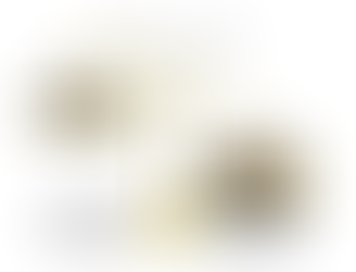 The Price and Value Battle