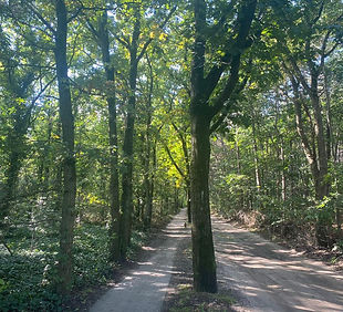 wandelcoaching.jpg