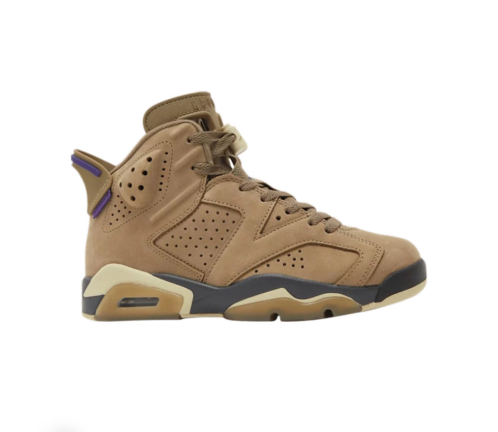 Air Jordan 6 Retro GORE-TEX 'Brown Kelp'